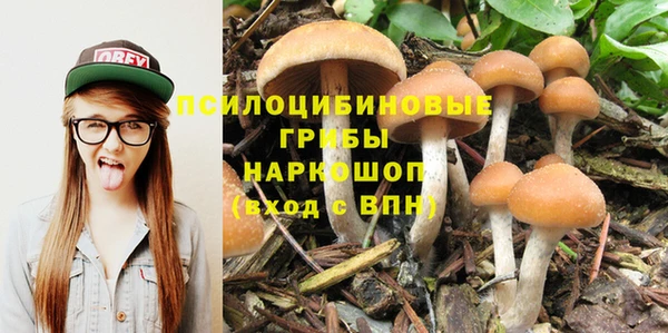 МДПВ Белокуриха