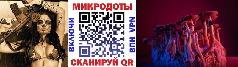 omg   наркошоп  Великий Устюг  Псилоцибиновые грибы GOLDEN TEACHER 